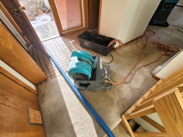 Best Sewage cleanup and water damage restoration  in Jackson, MN