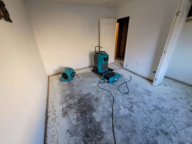 Water damage restoration insurance claims in Jackson, MN