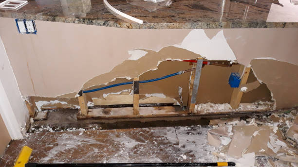 Best Flooded house restoration  in Jackson, MN