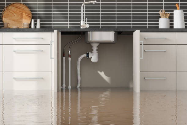 Best Emergency water extraction  in Jackson, MN